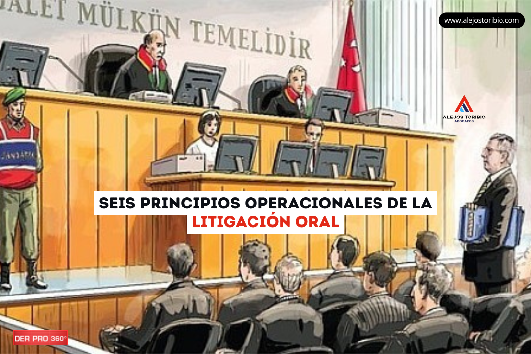 Seis principios operacionales de la litigación oral - alejos toribio abogados