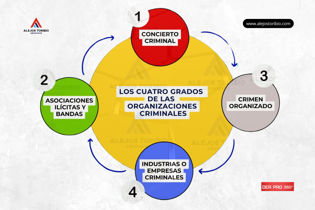 Los cuatro grados de las organizaciones criminales - eduardo alejos toribio