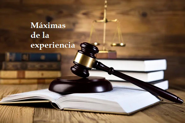 Valoración de la prueba penal y máximas de la experiencia – Alejos Toribio